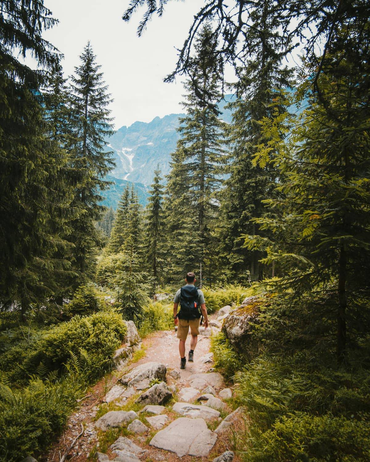 Josh hild yvxtvlxhd6a unsplash%20(1)%20(1) - Attribut alt par défaut.